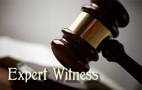 Expert Witness